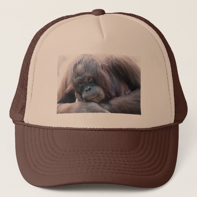 Casquette Orang-outan (Devant)