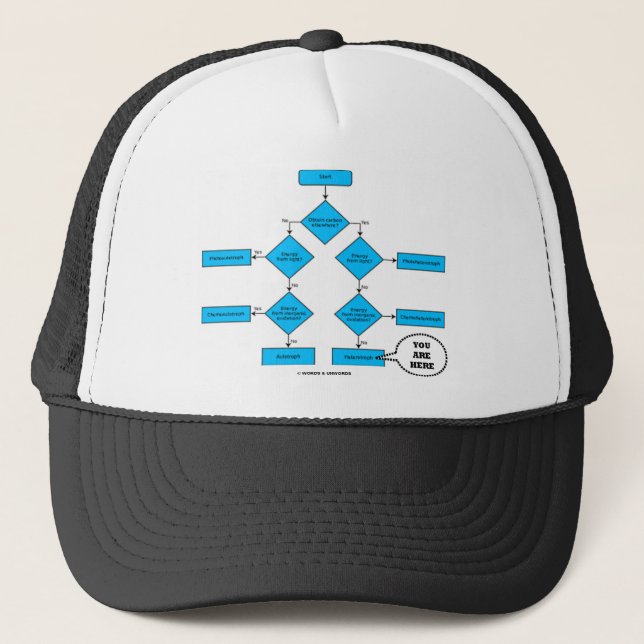 Casquette Organigramme de Heterotroph - vous êtes ici (Devant)