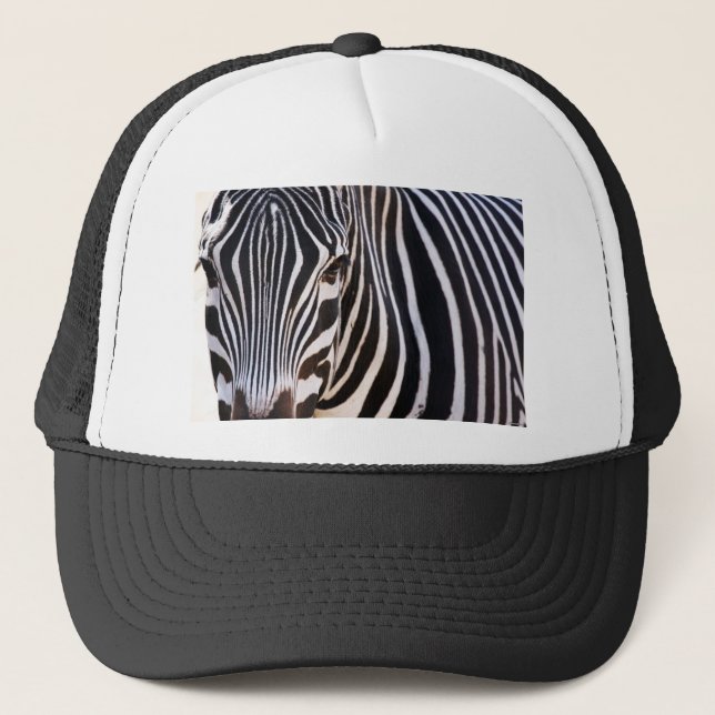 Casquette Où Est Le Zèbre ? (Devant)