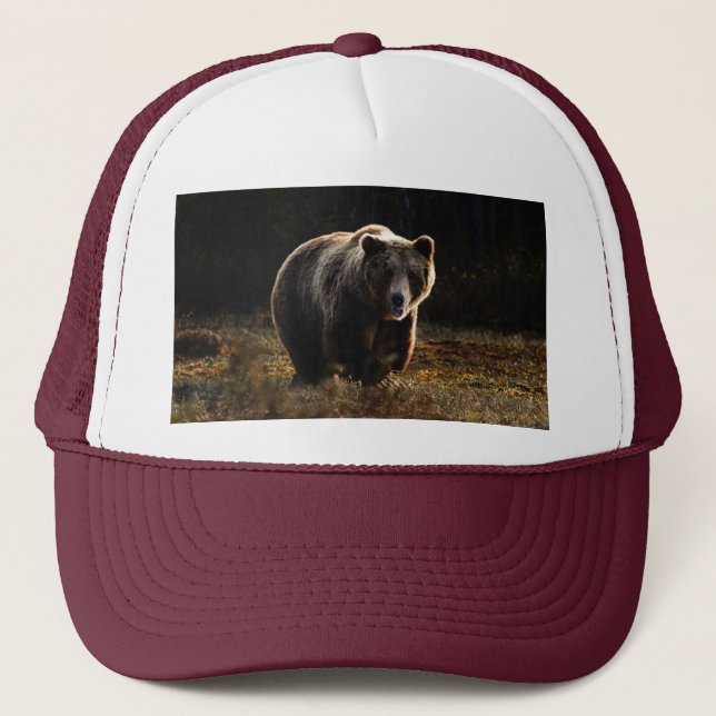 Casquette Ours (Devant)
