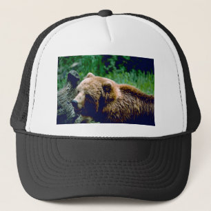 Casquette Ours Brown de Kodiak