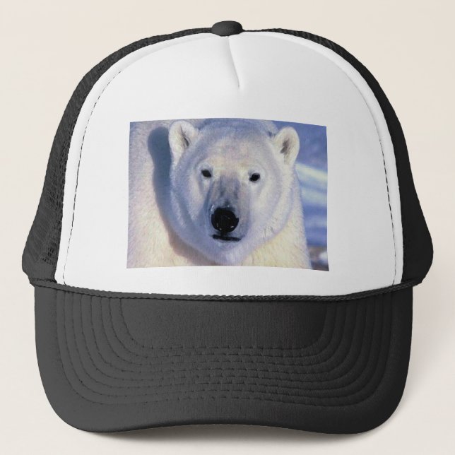 Casquette Ours polaire (Devant)