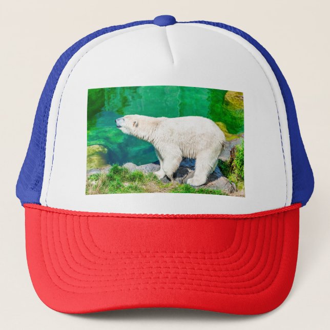 Casquette Ours polaire (Devant)