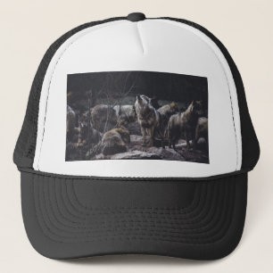 Casquette Pack Wolf