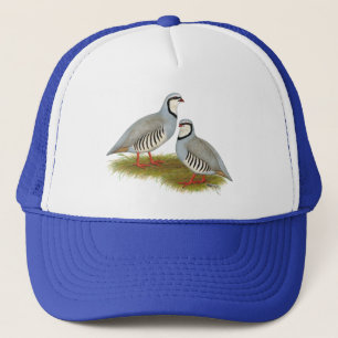 Casquette Paire de perdrix de Chukar