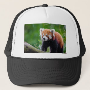 Casquette Panda rouge