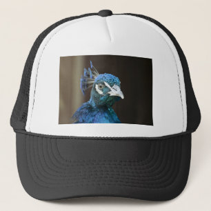 Casquette paon