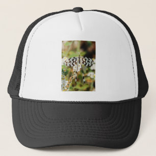 Casquette Papillon blanc et chocolat Brown Fantail