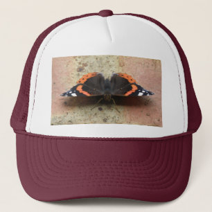 Casquette papillon de l'amiral rouge