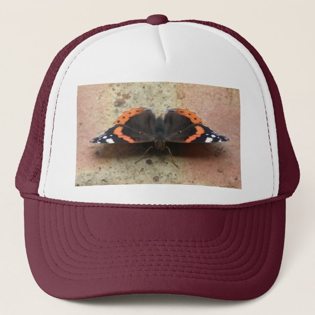Casquette papillon de l'amiral rouge (Devant)