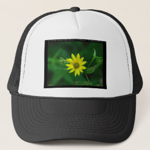 Casquette Parc national des sources chaudes Cadeaux de tourn