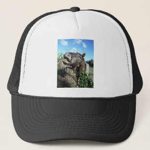 Casquette Parler de cheval Brown