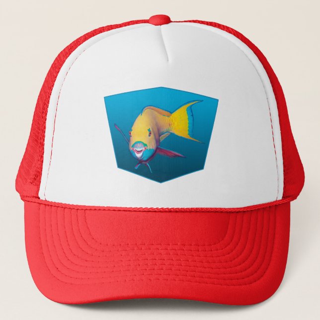 Casquette Parrotfish - arrière - plan bleu dégradé | (Devant)
