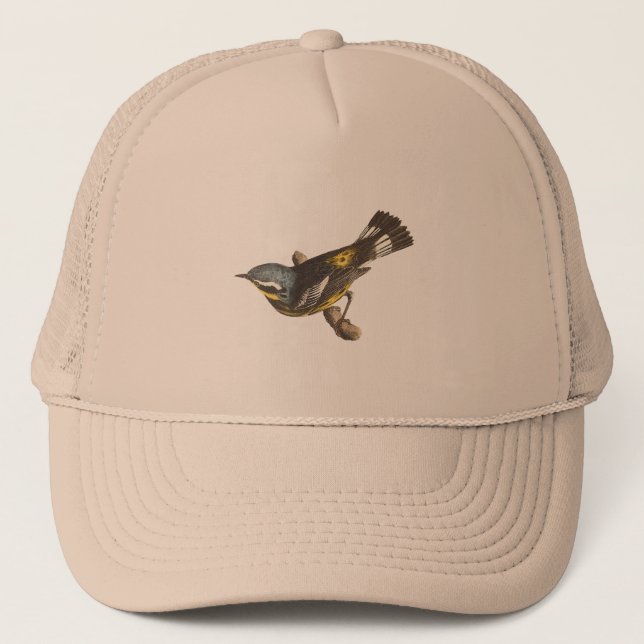 Casquette Paruline tachetée (Sylvicola maculosa) (Devant)