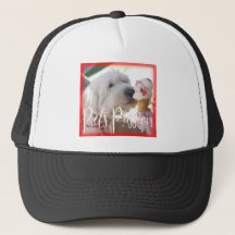 Passion d'animaux familiers