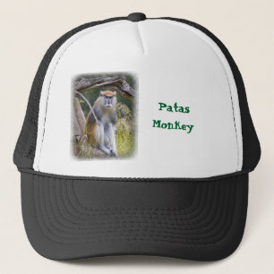 Casquette Patas Monkey