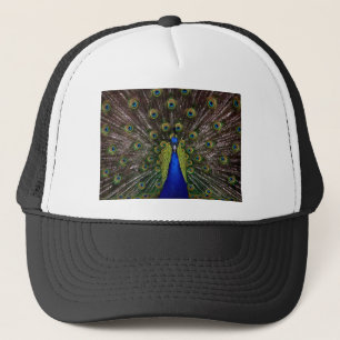 Casquette Peacock