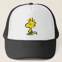 Peanuts | Snoopy's Friend Woodstock