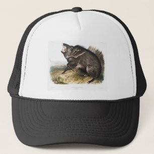 Casquette Peccaire en collier Cochon Camping Déco Cadeaux