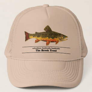Casquette Pêche à la mouche de l’omble de fontaine Nom latin
