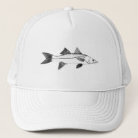 Pêche d'eau de mer - Snook vintage