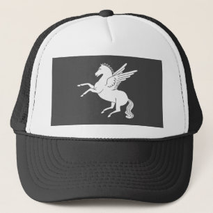 Casquette Pegasus