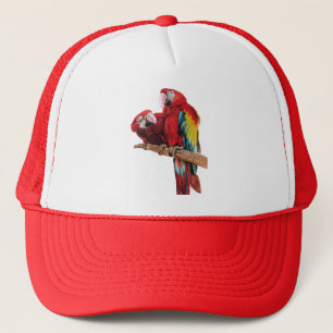 Casquette Peinture couleur rouge Macaw Aquarelle