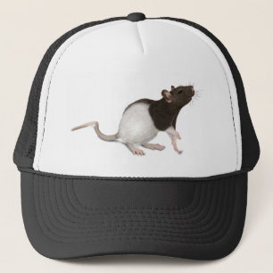 Casquette Peinture de rat pour animaux