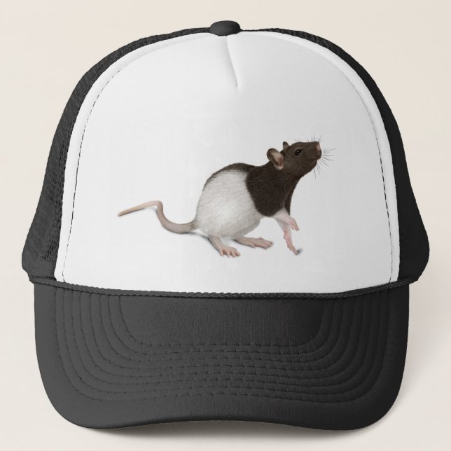 Casquette Peinture de rat pour animaux (Devant)