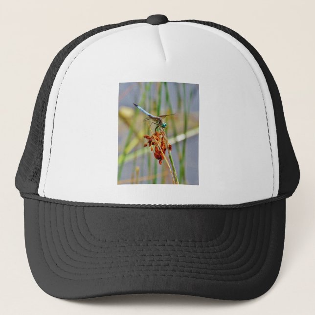 Casquette Pelouse de berge et libellule (Devant)