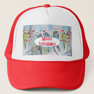 Casquette Père Noël Budgie Noël aquarelle peinture oiseau