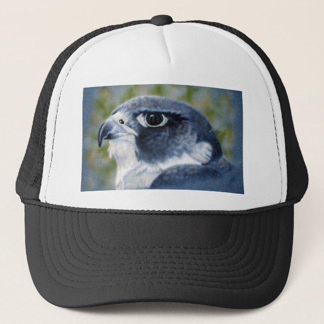 Casquette Peregrine-aérographe (Devant)