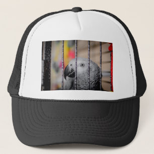 Casquette Perroquet gris