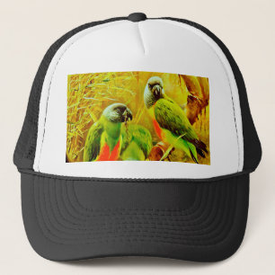 Casquette Perroquets colorés