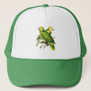 Casquette Perroquets d'Amazona - oiseaux vintages