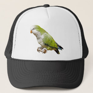Casquette Perruche de moine