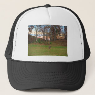 Casquette Petit cerf et coucher de soleil rose