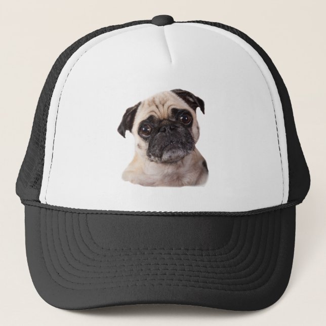 Casquette petit chien mignon de carlin (Devant)