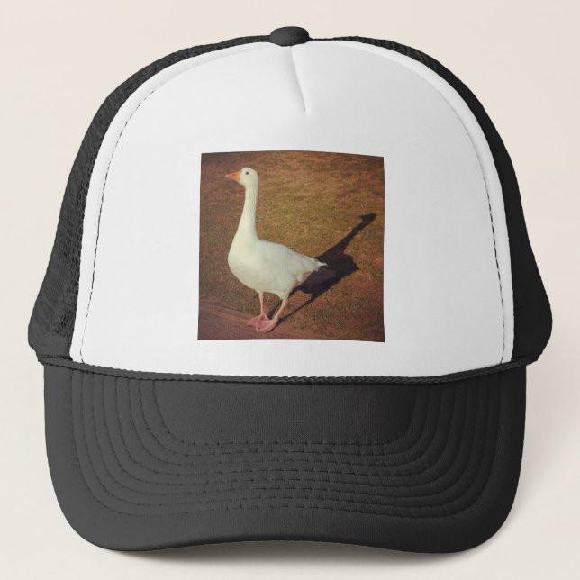 Casquette Photo carré - Oie (Devant)