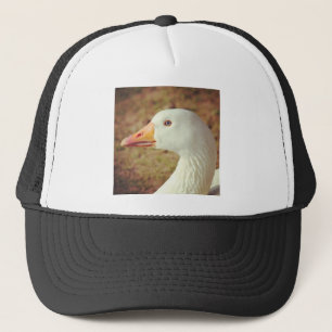 Casquette Photo carré - Oie (Gros plan)