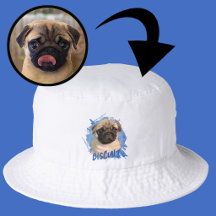 Photo et nom de chien Pug mignon personnalisé
