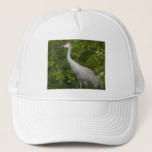 Casquette Photographie d'oiseau de grue de Sandhill