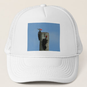 Casquette Pic pilé