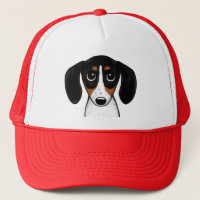 Piebald Dachshund Cute Chien