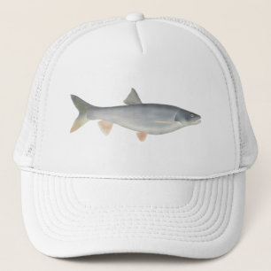 Casquette Pikeminnow du Nord