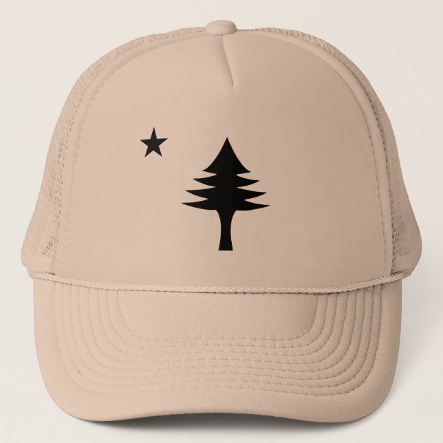 Casquette Pin et étoile 1901 drapeau de l'état du Maine (Devant)