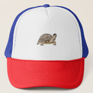 Casquette Pinceau de Turtle Painter