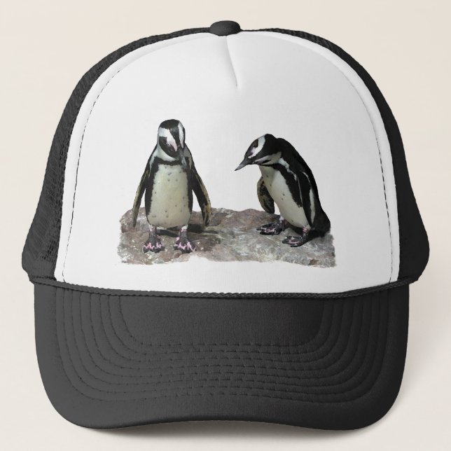 Casquette Pingouins (Devant)