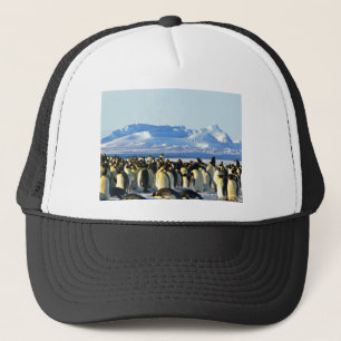 Casquette Pingouins empereurs