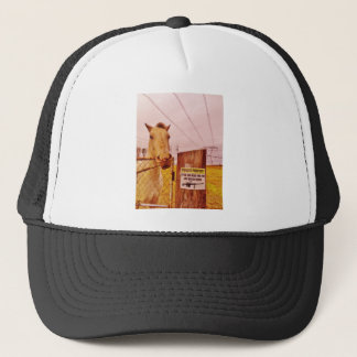 Casquette Pink Private Property Horse